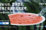 娱乐吃瓜文案,吃瓜群众必备的幕后花絮大汇总